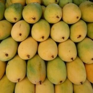 Ripen Mango 10 kg Box