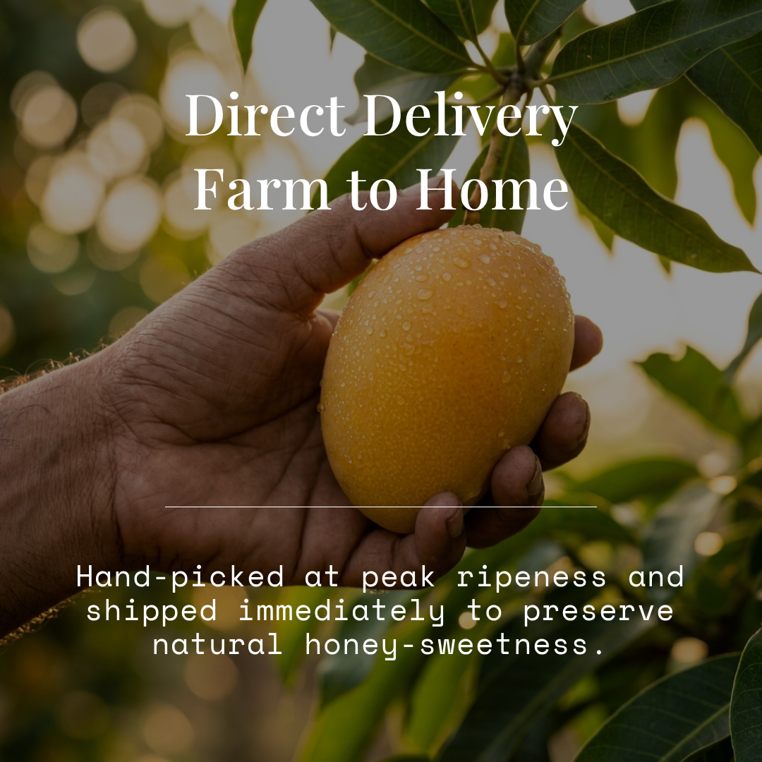 Raw Mango 5kg Box - Image 2